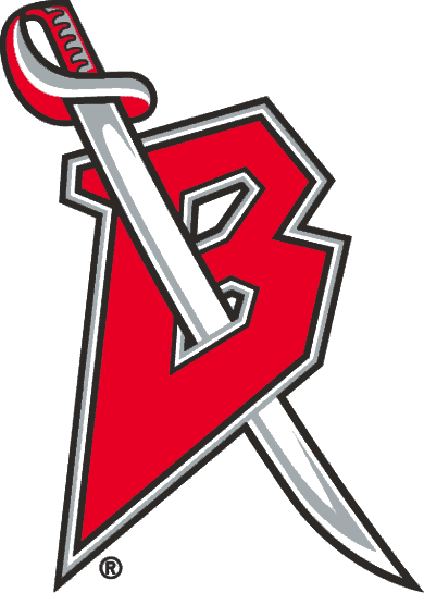 Buffalo Sabres 1996-1999 Alternate Logo fabric transfer version 3